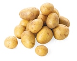 Bio Speisekartoffeln Drillinge von REWE Bio für 1,69 € bei REWE im Angebot Bio Speisekartoffeln Drillinge von REWE Bio im aktuellen REWE Prospekt