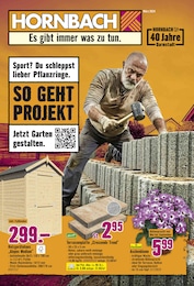 Hornbach Prospekt "Sport? Du schleppst lieber Pflanzringe." mit 33 Seiten (Darmstadt)