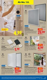 Aktueller Lidl Prospekt mit Teppichboden, "LIDL LOHNT SICH", Seite 39