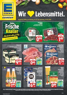 E center Prospekt Wir lieben Lebensmittel! mit 28 Seiten