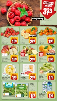 Ananas im REWE Prospekt "Dein Markt" mit 16 Seiten (Hannover)