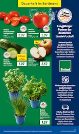 Bratpfanne im Lidl Prospekt in Buxtehude Aktueller Lidl Prospekt mit Bratpfanne, "LIDL LOHNT SICH", Seite 3