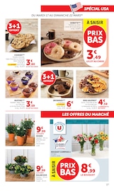 Plante Verte Angebote im Prospekt "U Express" von U Express Plante Verte Angebote im Prospekt "U Express" von U Express auf Seite 17