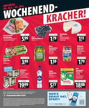 Aktueller famila Nordost Prospekt mit Ariel, "besser als gut!", Seite 24