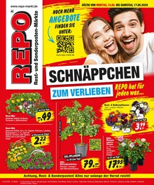 Aktueller Repo Prospekt "Aktuelle Angebote" Seite 1 von 16 Seiten für Belzig