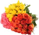 Wunderschöne Rosen im Bund bei Penny-Markt im Prospekt "" für 1,99 €