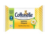 Aktuelles Feuchtes Toilettenpapier Angebot bei REWE in Dresden ab 1,19 €