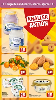 Bier im REWE Prospekt "Dein Markt" mit 32 Seiten (Halberstadt)