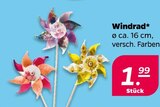 Windrad  im aktuellen Netto mit dem Scottie Prospekt für 1,99 €