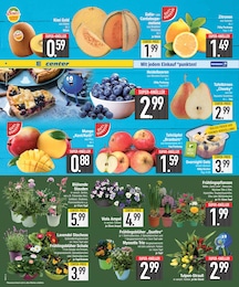 Fruehjahrsblueher im EDEKA Prospekt "DAS BESTE DER WOCHE" auf Seite 6