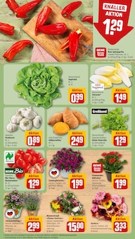 Kartoffeln im REWE Prospekt "Dein Markt" mit 24 Seiten (Dresden)