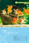 Aquarium Aquarium