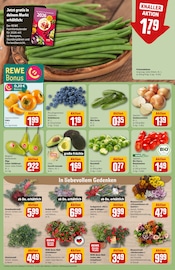 Farbe im REWE Prospekt in Weimar Aktueller REWE Prospekt mit Farbe, "Dein Markt", Seite 9