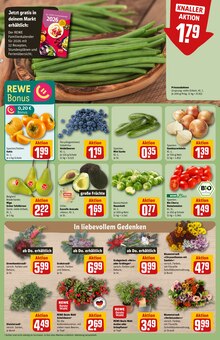 Pflanzen im aktuellen REWE Prospekt (Jena) Pflanzen im REWE Prospekt "Dein Markt" mit 40 Seiten (Jena)
