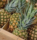 Ananas à 1,29 € dans le catalogue Netto
