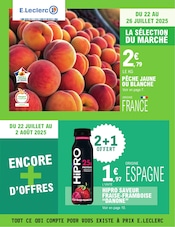 Catalogue E.Leclerc à Orsigny cette semaine, valable du 22/07/2025 au 02/08/2025 Prospectus E.Leclerc à Orsigny, "TOUT CE QUI COMPTE POUR VOUS EXISTE À PRIX E.LECLERC", 32 pages de promos valables du 22/07/2025 au 02/08/2025