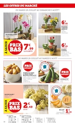 Offre Orchidée dans le catalogue U Express du moment à la page 16