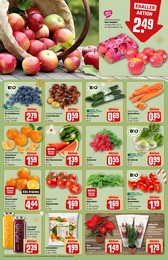 Pflanzen Angebot im aktuellen REWE Prospekt auf Seite 12