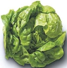 Kopfsalat bei famila Nordwest im Bremervörde Prospekt für 1,44 €