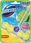 WC-Stein im Angebot bei Netto Marken-Discount in Flensburg WC-Stein Angebote von Domestos bei Netto Marken-Discount Flensburg für 1,11 €