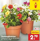 Zauberglöckchen im Angebot bei Netto Marken-Discount in Wiesbaden Zauberglöckchen Angebote bei Netto Marken-Discount Wiesbaden für 2,79 €