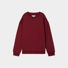 Sweat oversize manches longues col rond bordeaux garçon - La Halle Sweat oversize manches longues col rond bordeaux garçon à 5,99 € dans le catalogue La Halle