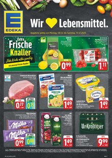 EDEKA Prospekt Wir lieben Lebensmittel! mit  Seiten in Bautzen und Umgebung