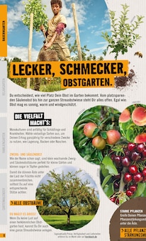Obstbaum im Hornbach Prospekt "Garten 2024" mit 54 Seiten (Nürnberg)