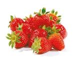 Erdbeeren bei Netto mit dem Scottie im Kirschau Prospekt für 2,19 €