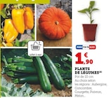 Plants de légumes en promo à 1,90 € chez Hyper U Plants de légumes dans le catalogue Hyper U