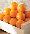 Promo Mandarine à 2,49 € dans le catalogue Intermarché Contact à Angers