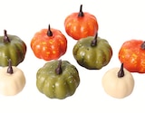 Aktuelles 8 Deko-Kürbisse Angebot bei Wreesmann in Dresden ab 2,49 €