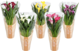 CALLA EN POT - SANS MARQUE - Auchan Hypermarché à Nice CALLA EN POT - SANS MARQUE en promo chez Auchan Hypermarché Nice à 6,99 €