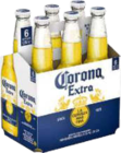 Corona Extra oder Cero im aktuellen V-Markt Prospekt für 5,79 €