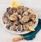 Huîtres fines de Bretagne - U - Super U à Quimper Huîtres fines de Bretagne - U en promo chez Super U Quimper à 10,36 €