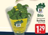 EDEKA Kürten - Bio Basilikum Angebot im Prospekt Bio Basilikum bei EDEKA im Kürten Prospekt für 1,29 €
