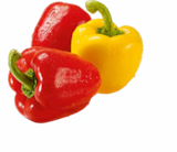 Bio Paprika Mix Angebote von BioBio bei Netto Marken-Discount Ludwigshafen