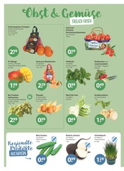 Salat im V-Markt Prospekt in Regensburg Aktueller V-Markt Prospekt mit Salat, "V-Markt einfach besser einkaufen", Seite 4
