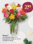 Rosen Angebote bei tegut Heidelberg für 2,99 €