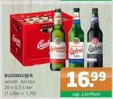 Getränke A-Z - BUDWEISER Angebot im Prospekt BUDWEISER bei Getränke A-Z im Prospekt "" für 16,99 €