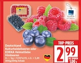Deutschland Kulturheidelbeeren im aktuellen EDEKA Prospekt