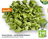 Unsere Heimat – echt & gut Bio Endivien bei E center im Obere Roggenmühle Prospekt für 2,49 €