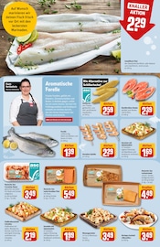 Knoblauch im REWE Prospekt in Darmstadt Aktueller REWE Prospekt mit Knoblauch, "Dein Markt", Seite 16