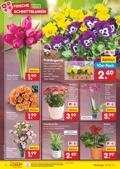 Aktueller Netto Marken-Discount Prospekt mit Blumen, "Aktuelle Angebote", Seite 4