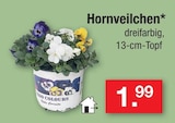 Hornveilchen für 1,99 € bei Zimmermann im Angebot Hornveilchen im aktuellen Zimmermann Prospekt