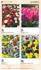 Plante Verte Angebote im Prospekt "JARDIN D'AUTOMNE" von Intermarché auf Seite 2