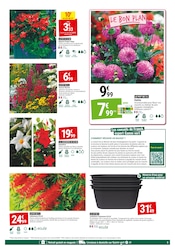 Jardinière Angebote im Prospekt "MAI FLEURI" von Gamm vert Jardinière Angebote im Prospekt "MAI FLEURI" von Gamm vert auf Seite 5