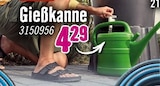 Gießkanne im Hornbach Prospekt Gießkanne von FloraSelf im aktuellen Hornbach Prospekt für 4,29 €