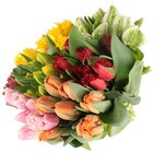 Tulpen Sondersorten im Angebot bei REWE in Flensburg Tulpen Sondersorten Angebote bei REWE Flensburg für 4,99 €