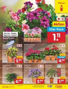 Gartenbepflanzung im Netto Marken-Discount Prospekt "Aktuelle Angebote" mit 49 Seiten (Regensburg)